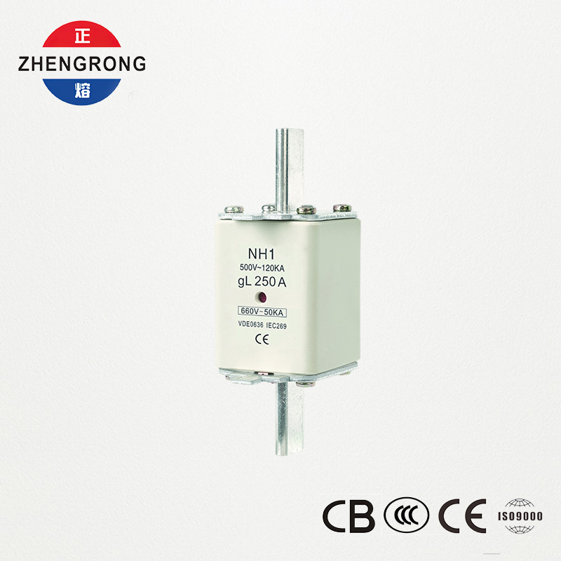 CE & IEC certificeret sikringsled NH1 500V 250A høj brudkapacitet